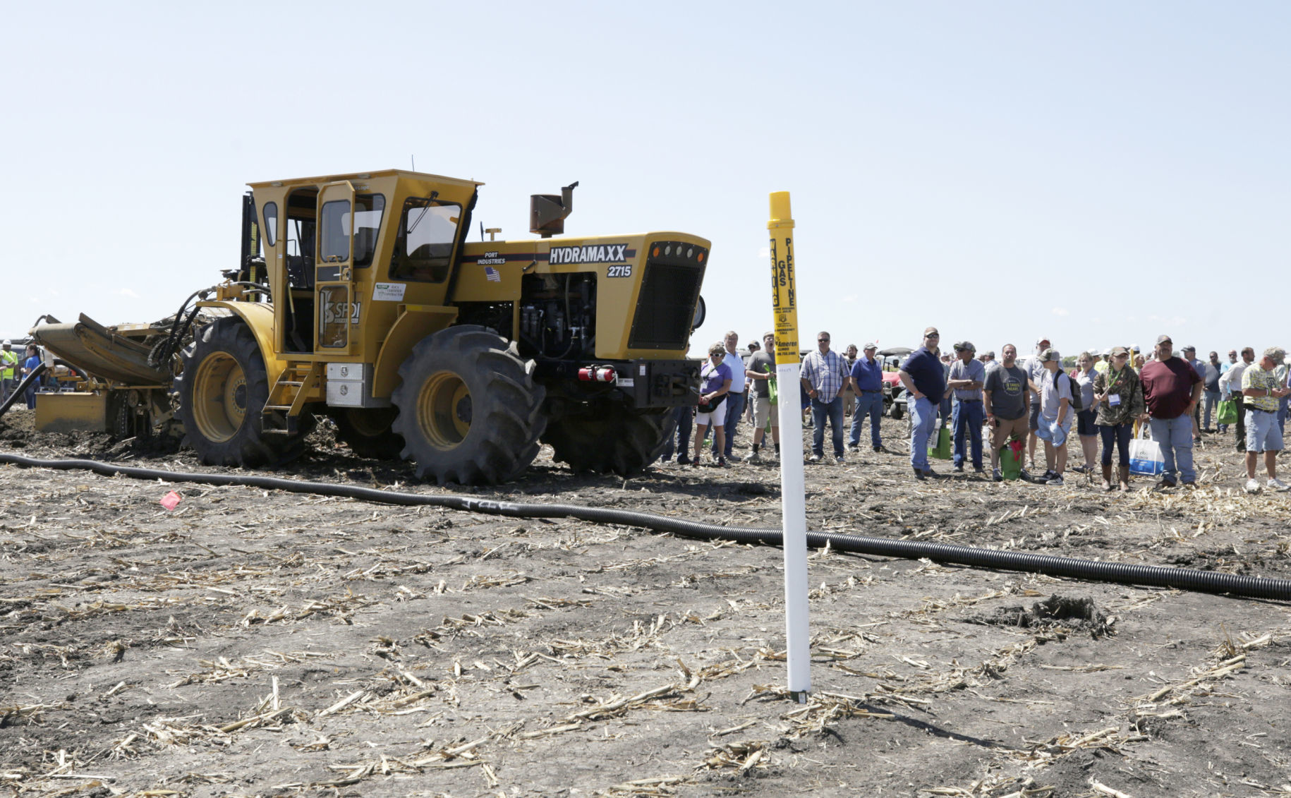 Day2_FarmProgress-26-82919.JPG